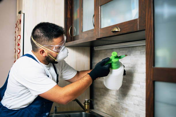 Best Emergency Pest Control  in Oak Point, TX