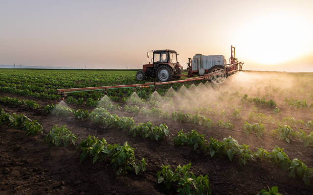 Best Ant Control Services  in Oak Point, TX
