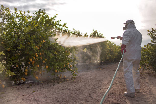 Best Pest Inspection Near Me  in Oak Point, TX