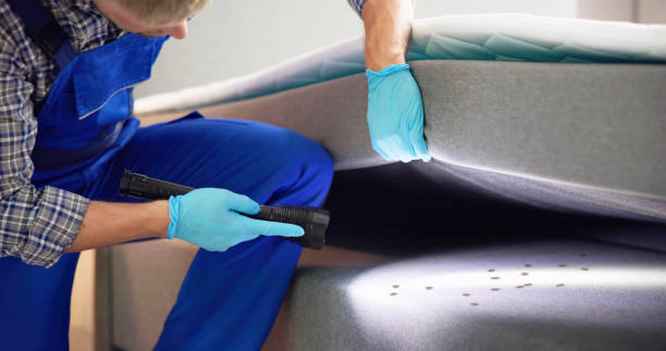 Professional Pest Control in Oak Point, TX