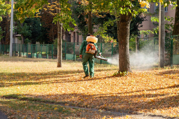 Best Best Pest Control Companies  in Oak Point, TX