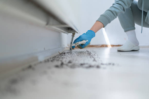 Best Mosquito Control Services  in Oak Point, TX